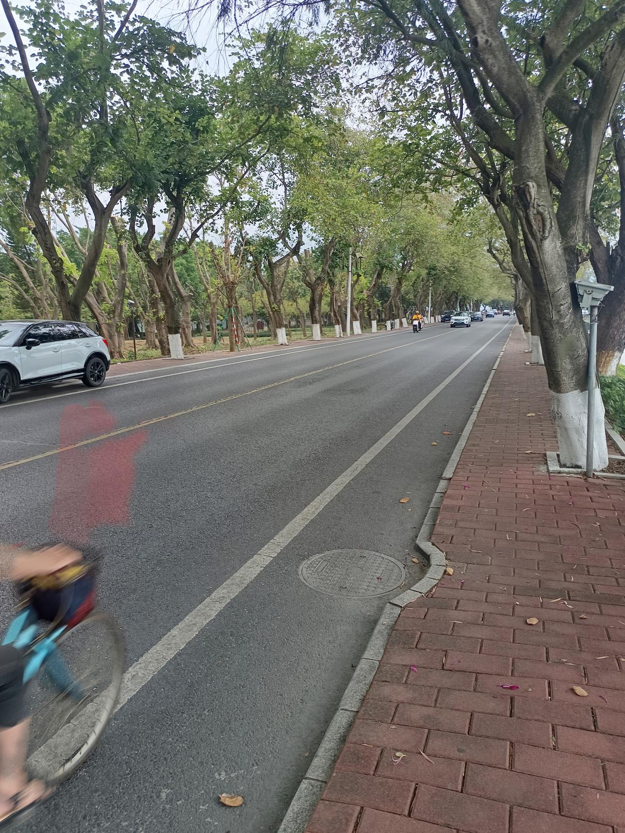 我终于知道为什么这里是中国5a级风景区七星岩却依然没有什么人来旅游你