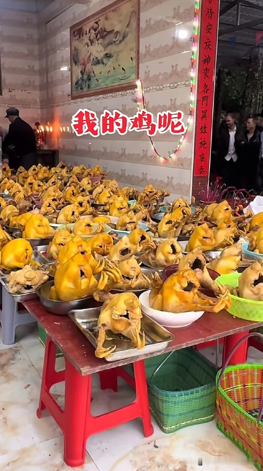 找不到我的鸡了，该怎么办我在几百只鸡里找不到自己的那只广西百色百城村的