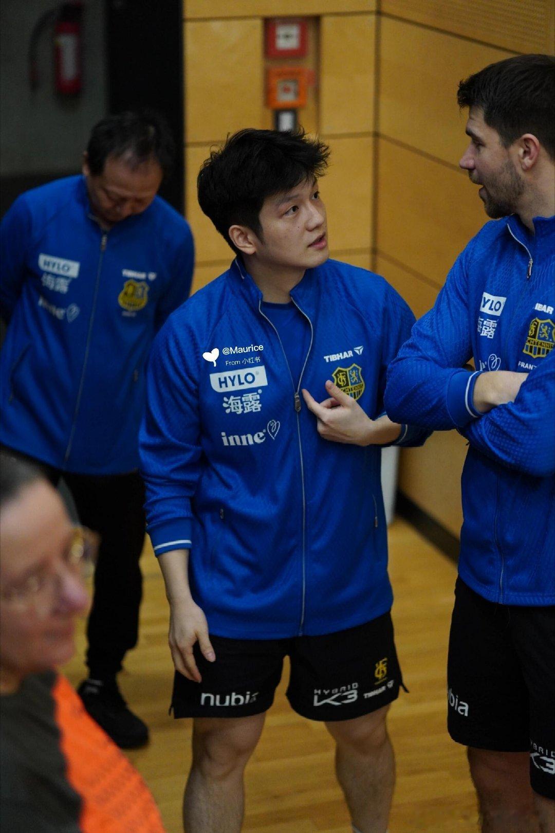 樊振东可爱到冒泡cr🍠Maurice