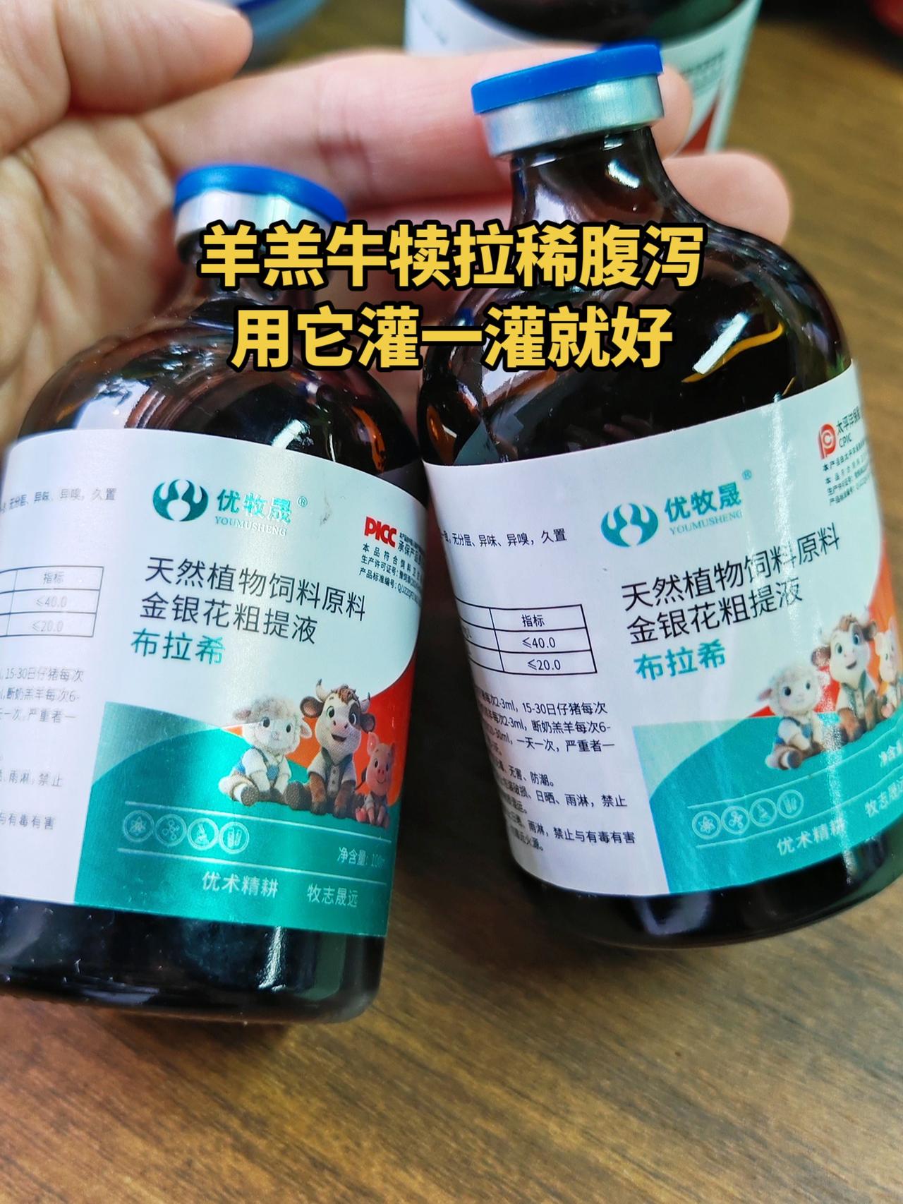 养羊人农村养羊牛羊养殖