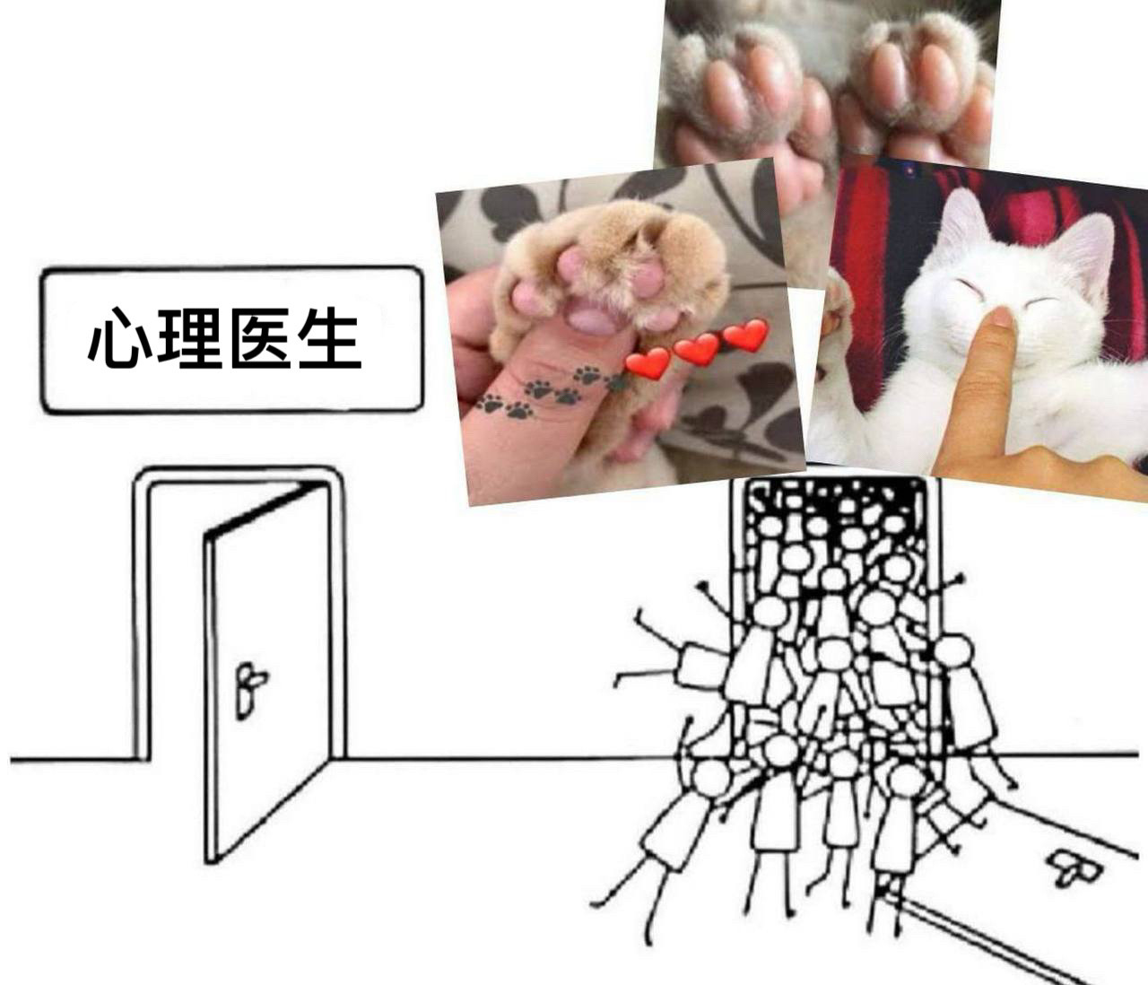分享图片​​​
