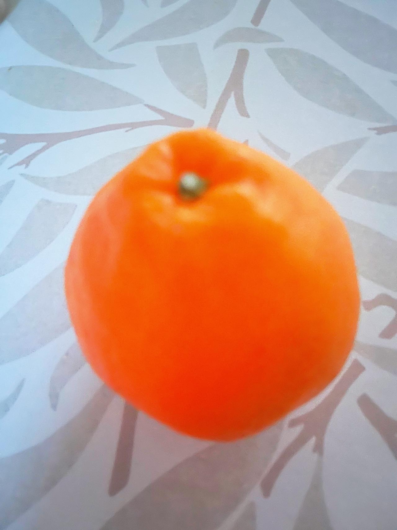 我跟老公吵架，发现了一个惊人的秘密。想起来我气不打一处来，今天早上我去冰箱