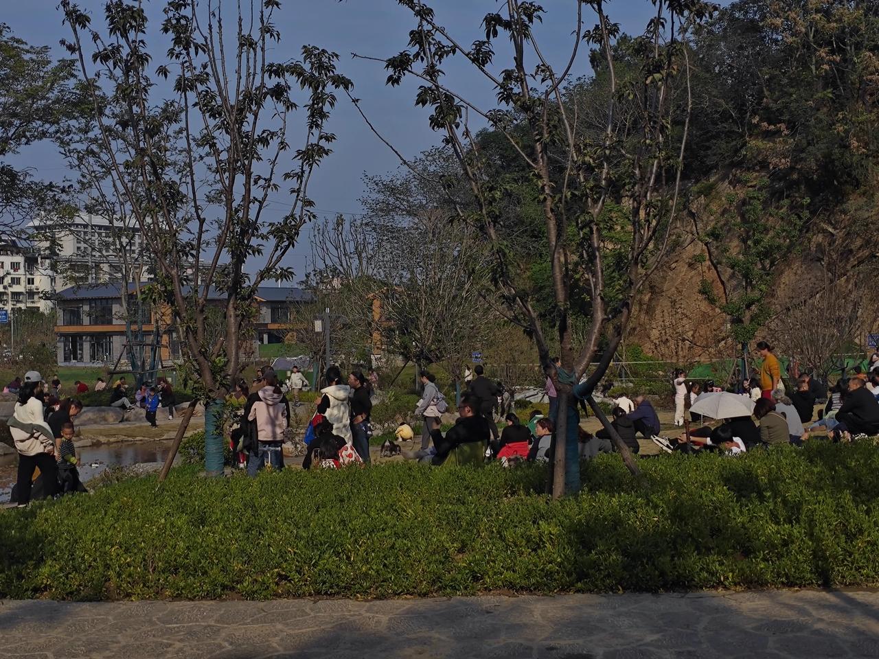 沈巍每次谈及原单位,那份深埋心底的委屈与不甘便如潮水般涌出。他并非愤怒于职位的失