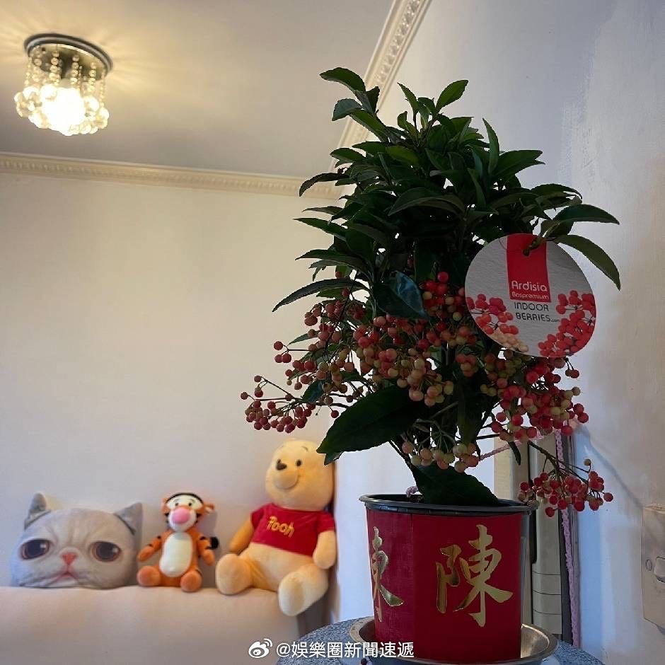 18/7/2026（星期六）香港港外各明星艺人名人活動行程：(未齊版早上1