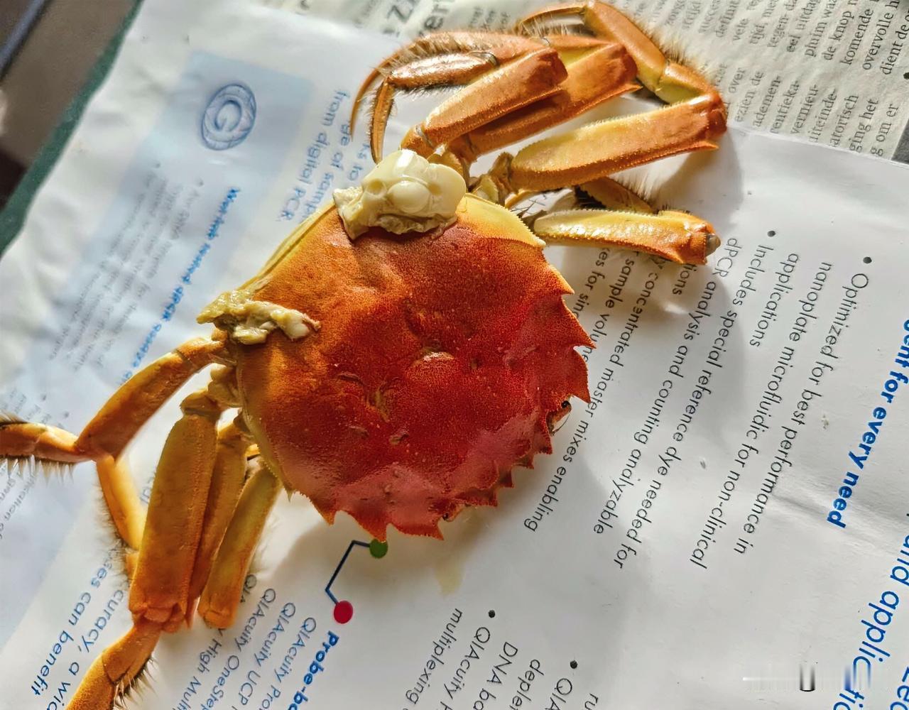 越长大越明白人性最大的讽刺就是：你给儿女10万块，都不带眨眼的，反过来，儿女给