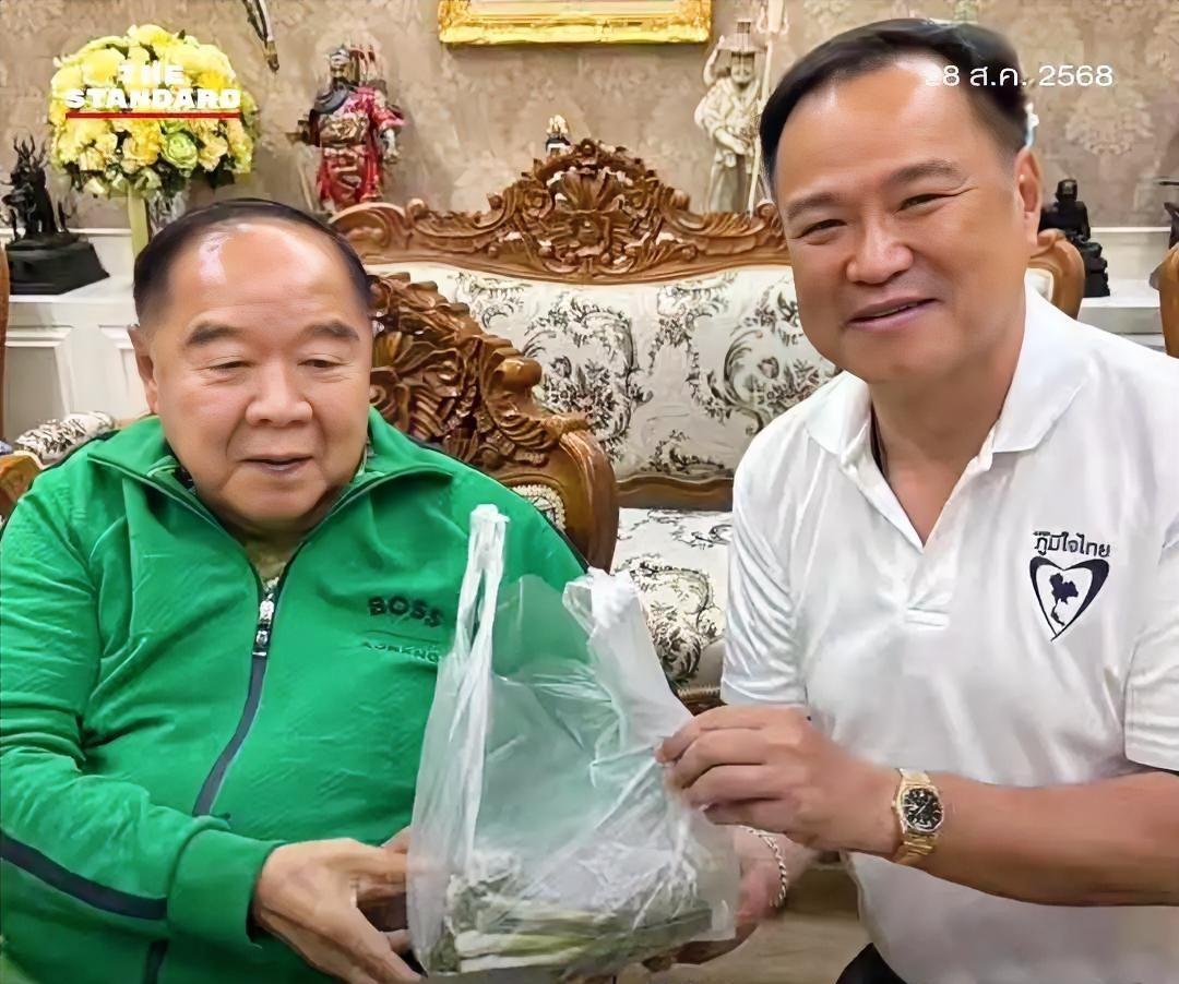 阿努廷为了获得巴逸的支持，主动去拜访巴逸，关心他近期的身体恢复情况。还给他送去一