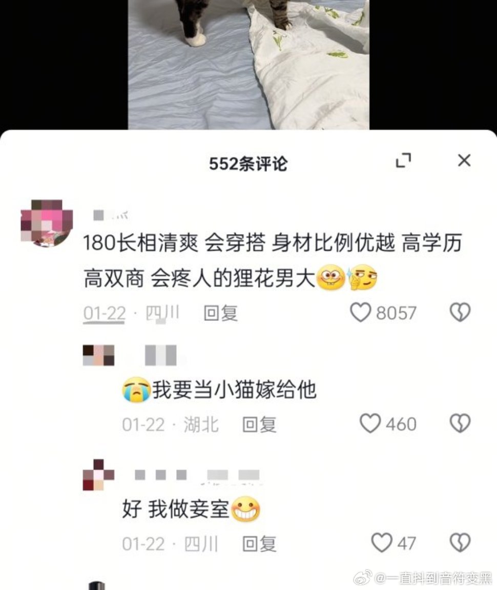 这只是一只狸花猫。真的猫