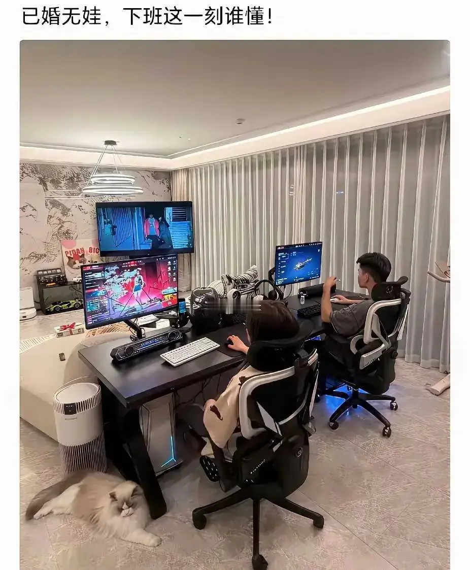 不得不承认，这样的夫妻，越来越多了