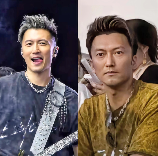不仅谢霆锋无语了了，谢霆锋的经纪人也无语了，他们怎么也想不到，在这场演唱