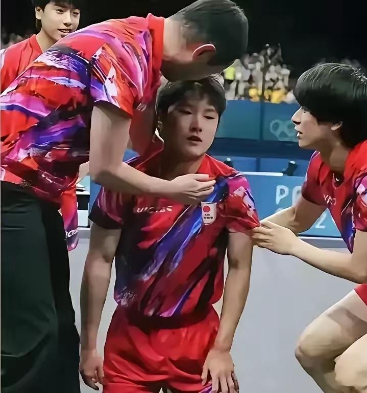 张本智和这孩子命也够惨的，在日本打球，根不正苗不红，比别人努力疯狂表现，赢了异常
