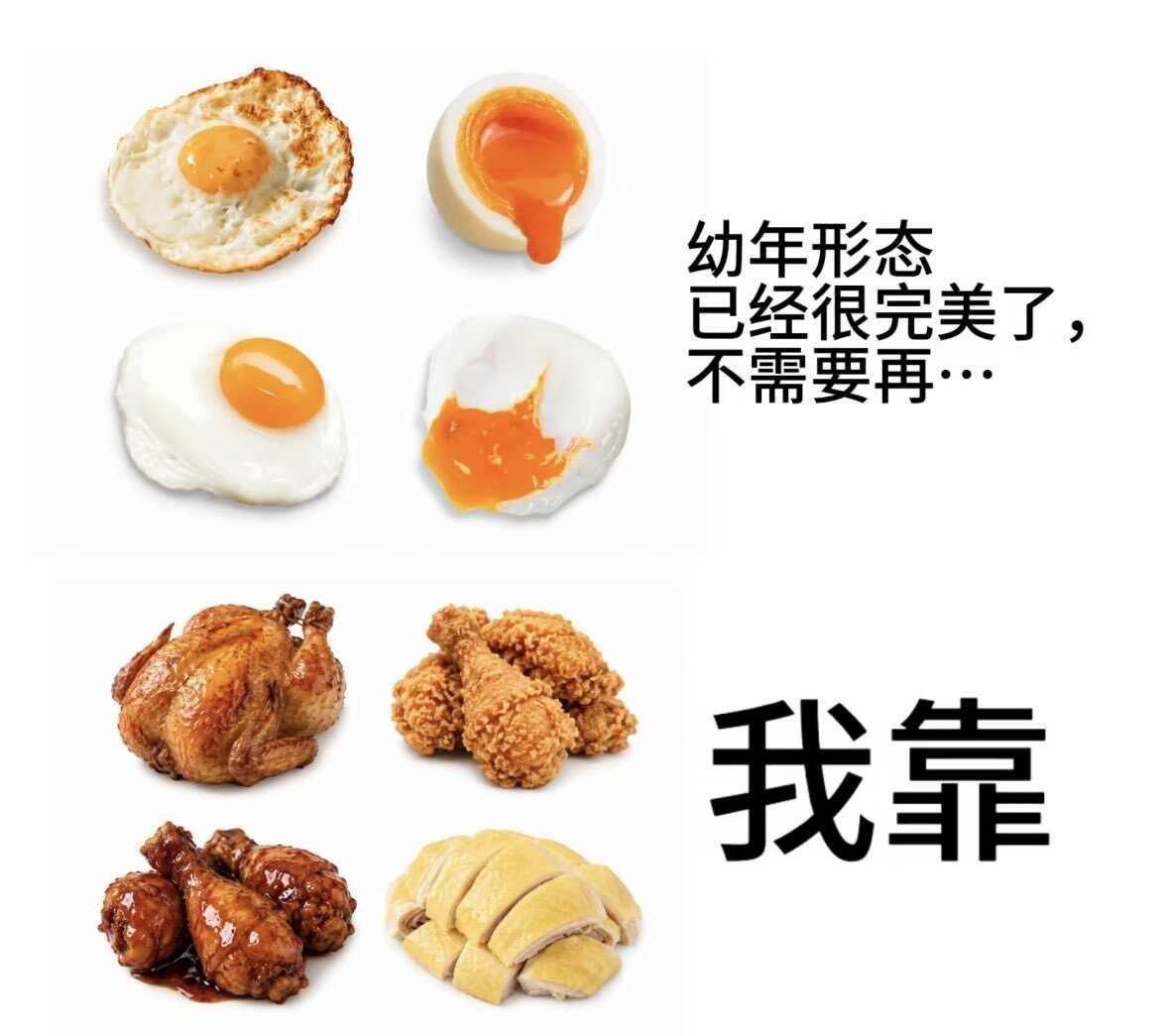 ［meme］幼年形态已经很完美了……搞笑memememes梗图