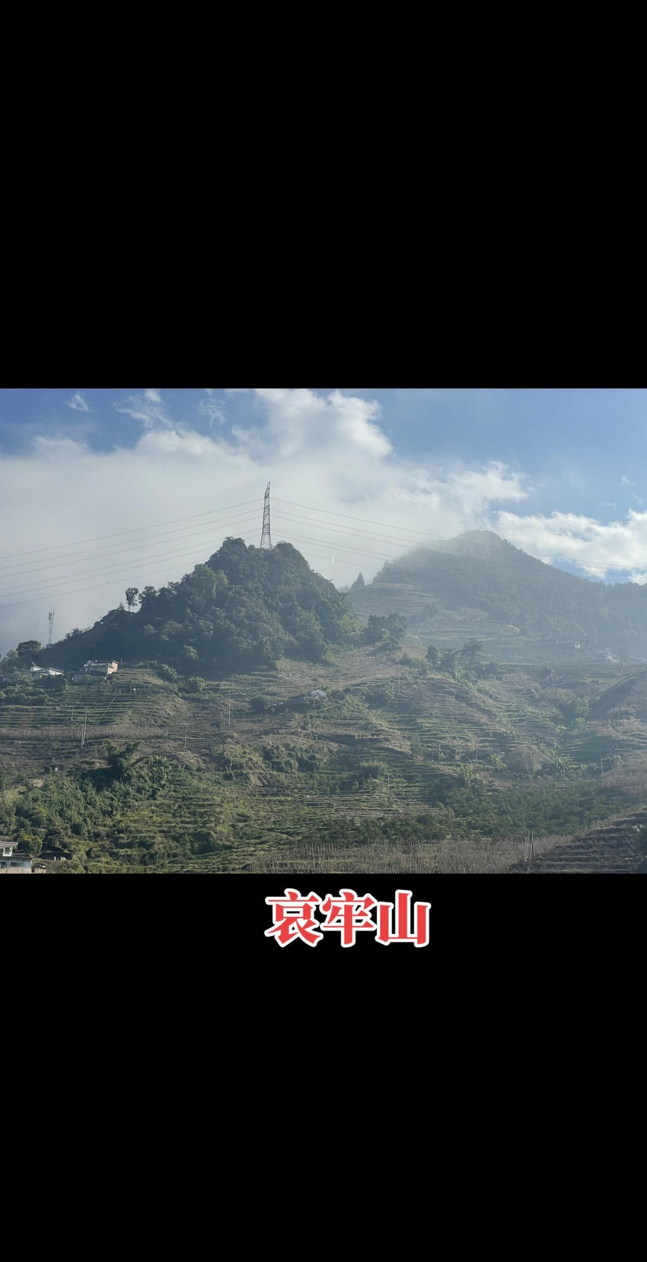 哀牢山，山野的冬樱花