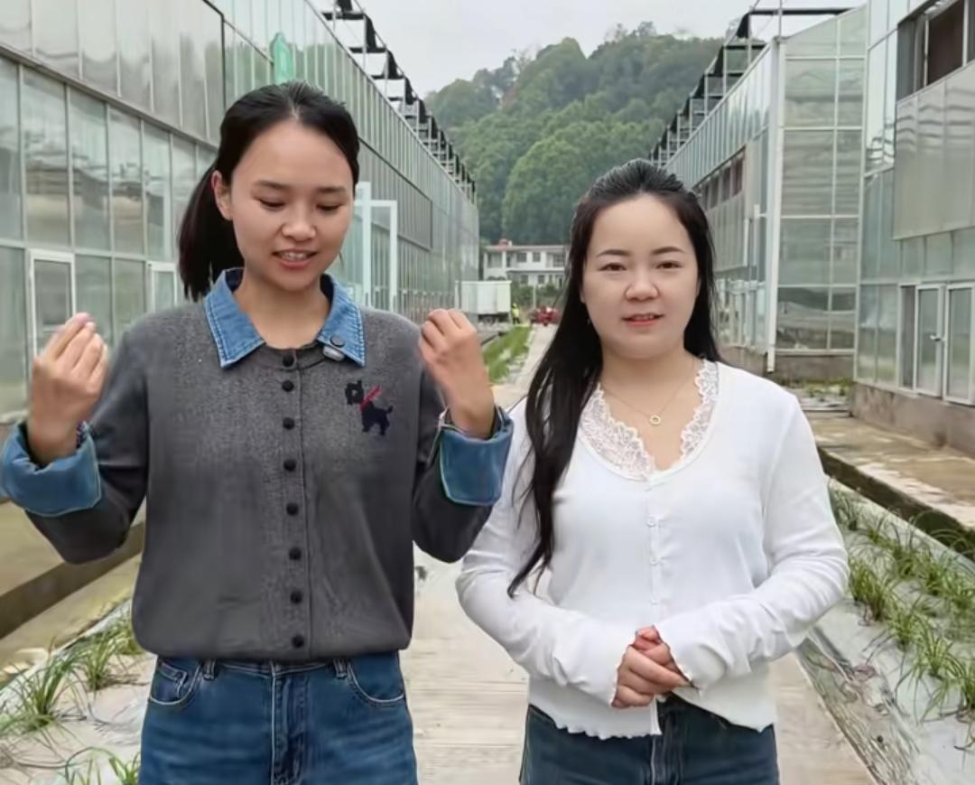 套路重演？吴晓慧跟进福利活动搞种植，网友争论：是真心回馈还是走老路子。关注小