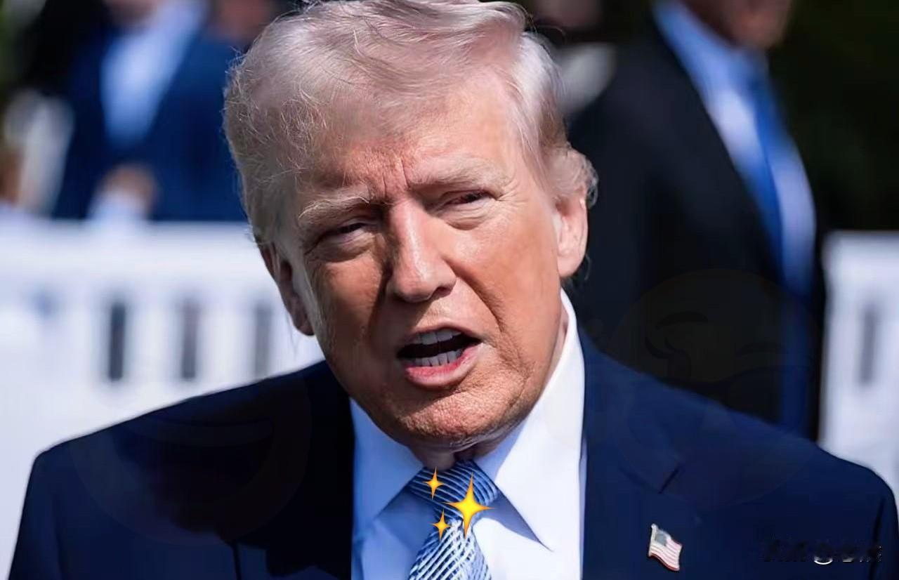 美国特朗普摊牌了！4月10日，美国总统特朗普与北约秘书长吕特在白宫会晤时明确