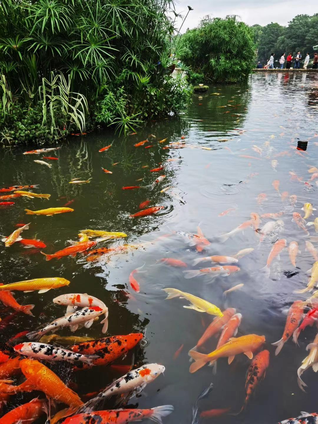 老人懒一点，健康多一点人生暮年，老人要活的通透明白，适当的懒一点，有利于自己