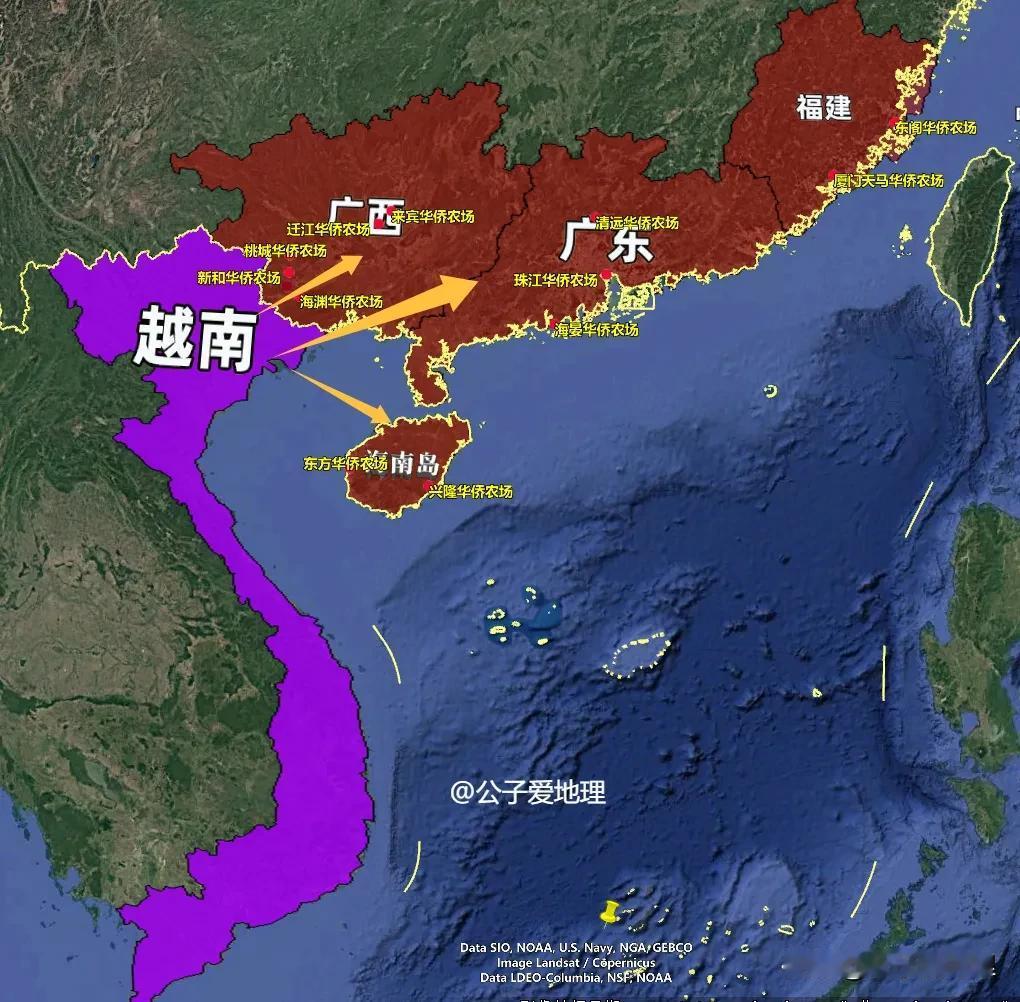 当年被越南视为“包袱”扔掉的26万华人，为何成了中国的“宝藏”？你知道一群被越