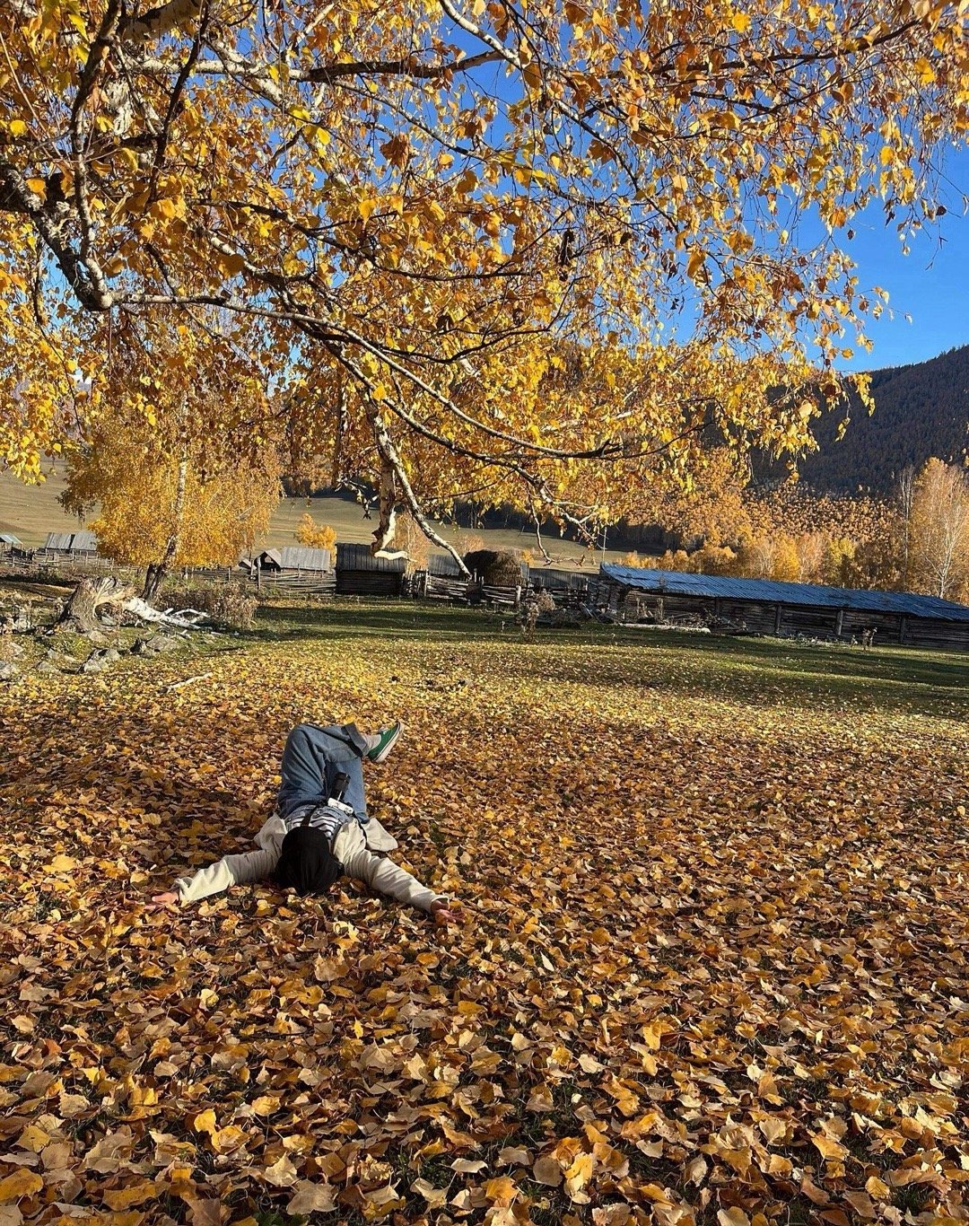 先做预案，场内纳指我们有几种选择：1、周一右侧下车五层，留下利润两层观察，后续大