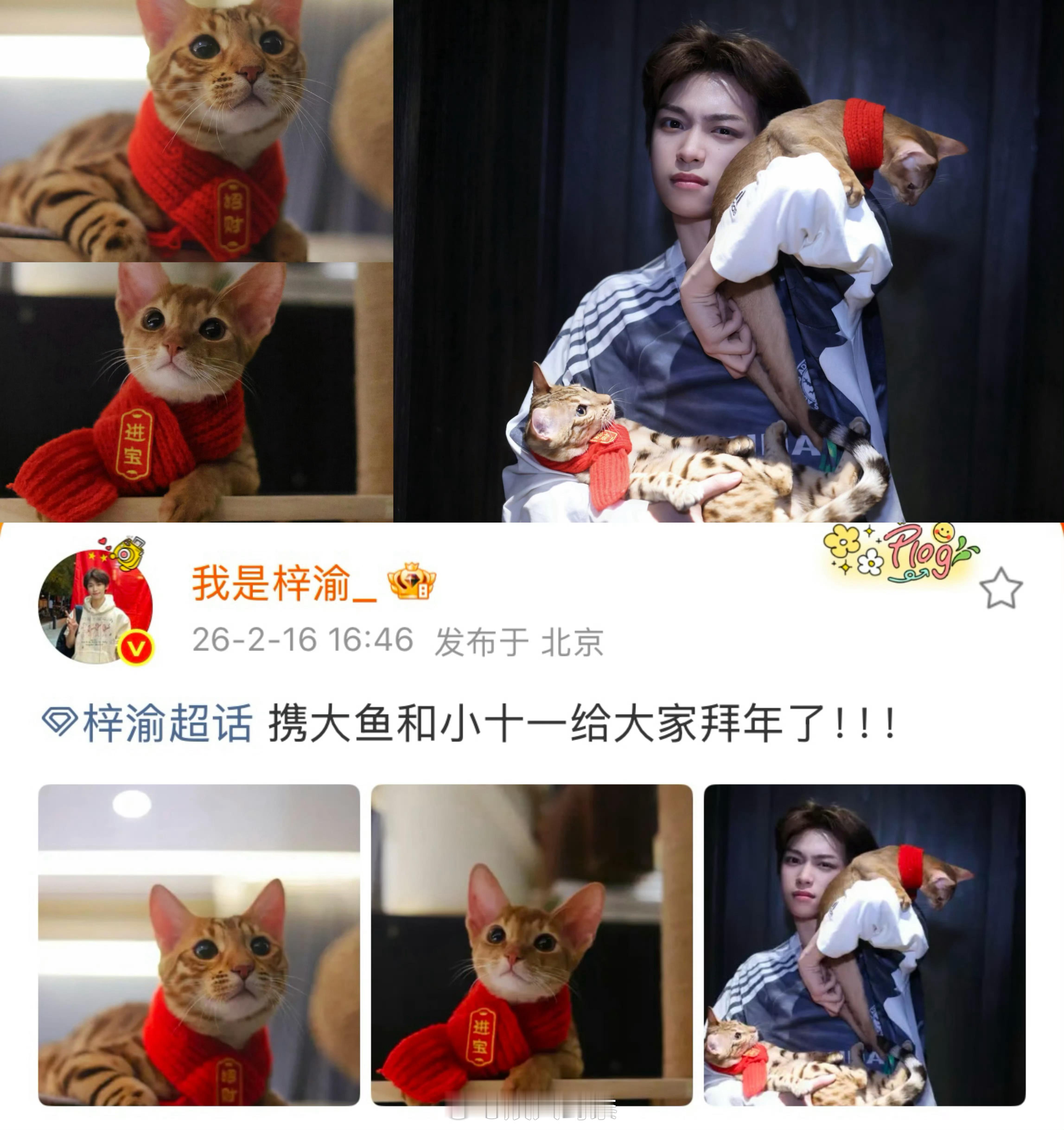 梓渝晒猫梓渝经常晒猫，他好爱大鱼和小十一！话说喜欢小动物的人尤其是猫猫，都是特