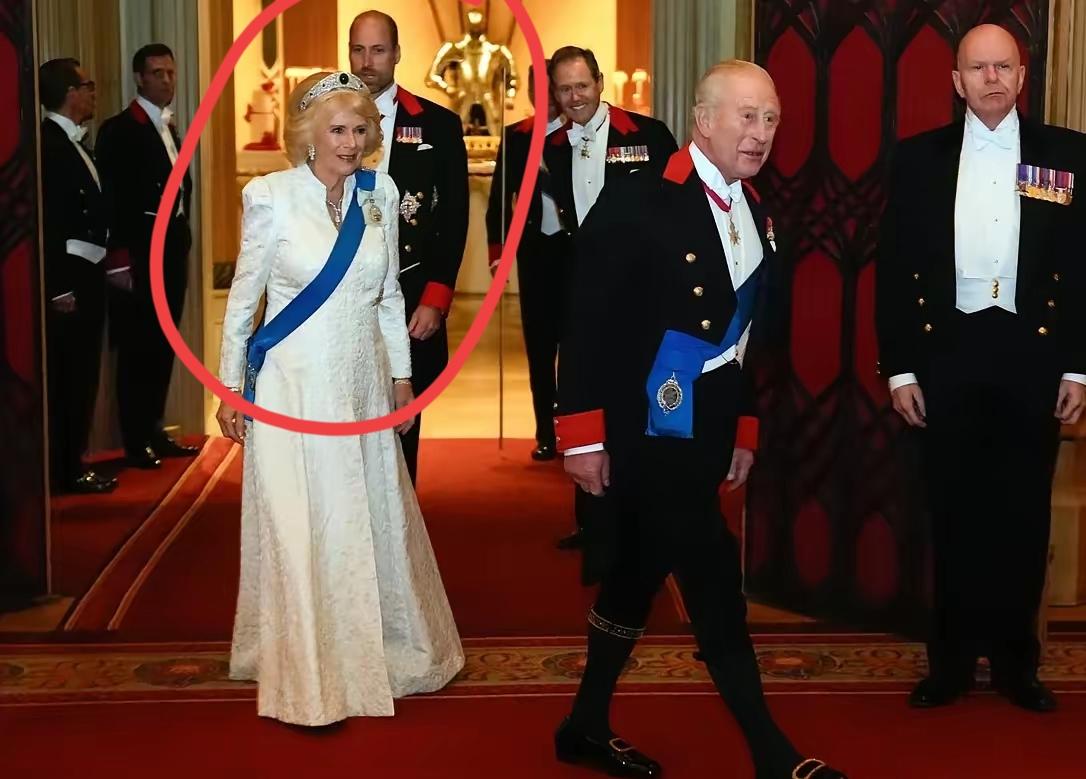 凯特不在，威廉似乎有些心不在焉呢？近期，在王室接待会上，威廉多少有些郁闷，为何