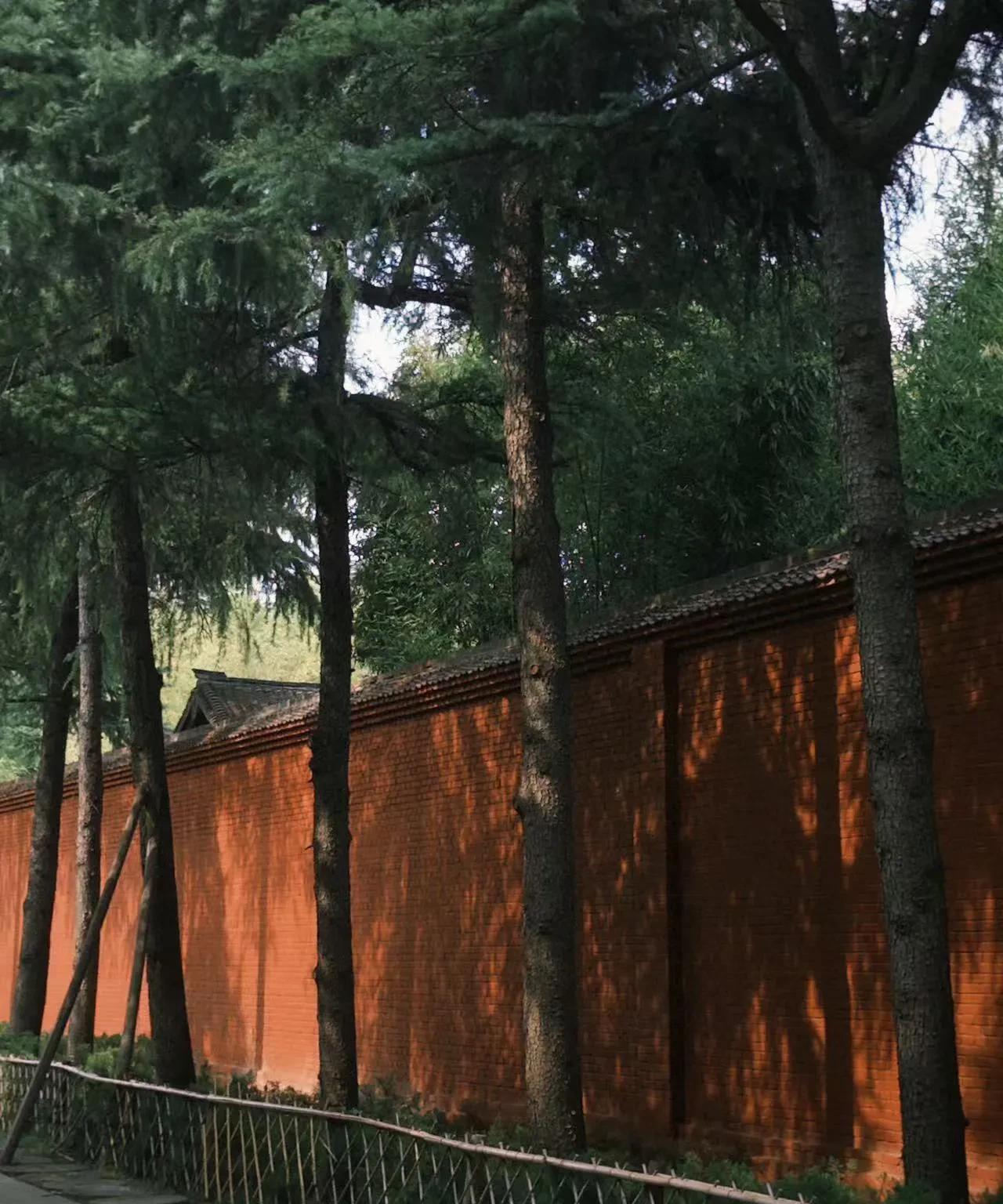 去白马寺的真实感受每年都会去白马寺一趟门票很便宜，只要35元持有旅游年票的