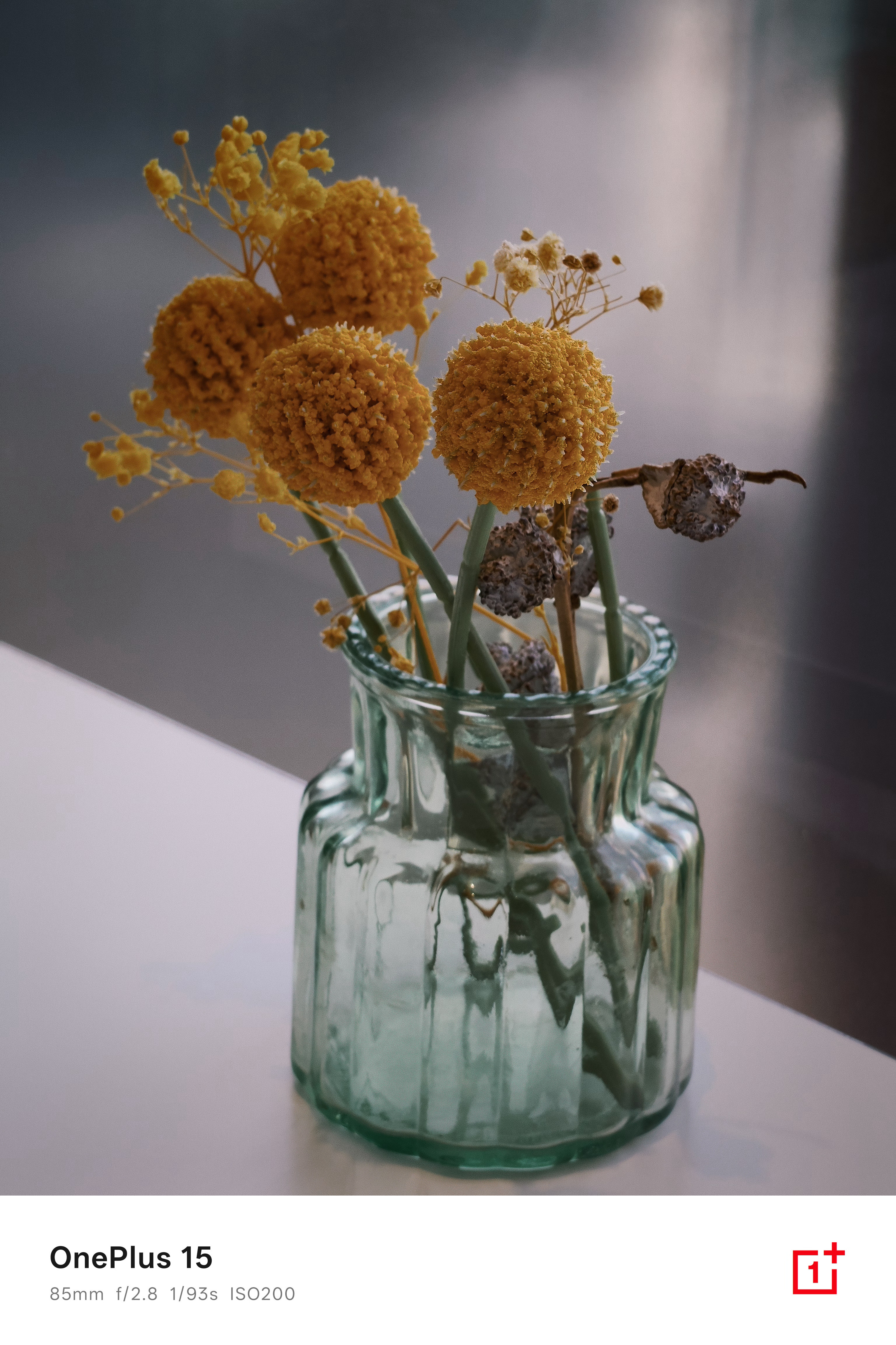 📷一加15吃完午饭散散步，随手拍还是很有内味的​​​