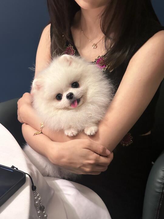 我也不想被钓啊 但是她对我歪头笑诶………
