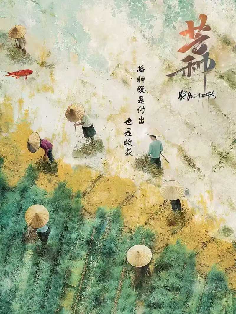 乙巳🐍年芒种🌾开运小贴士：1书桌/办公位西方摆绿植/文昌塔，旺智慧贵人！