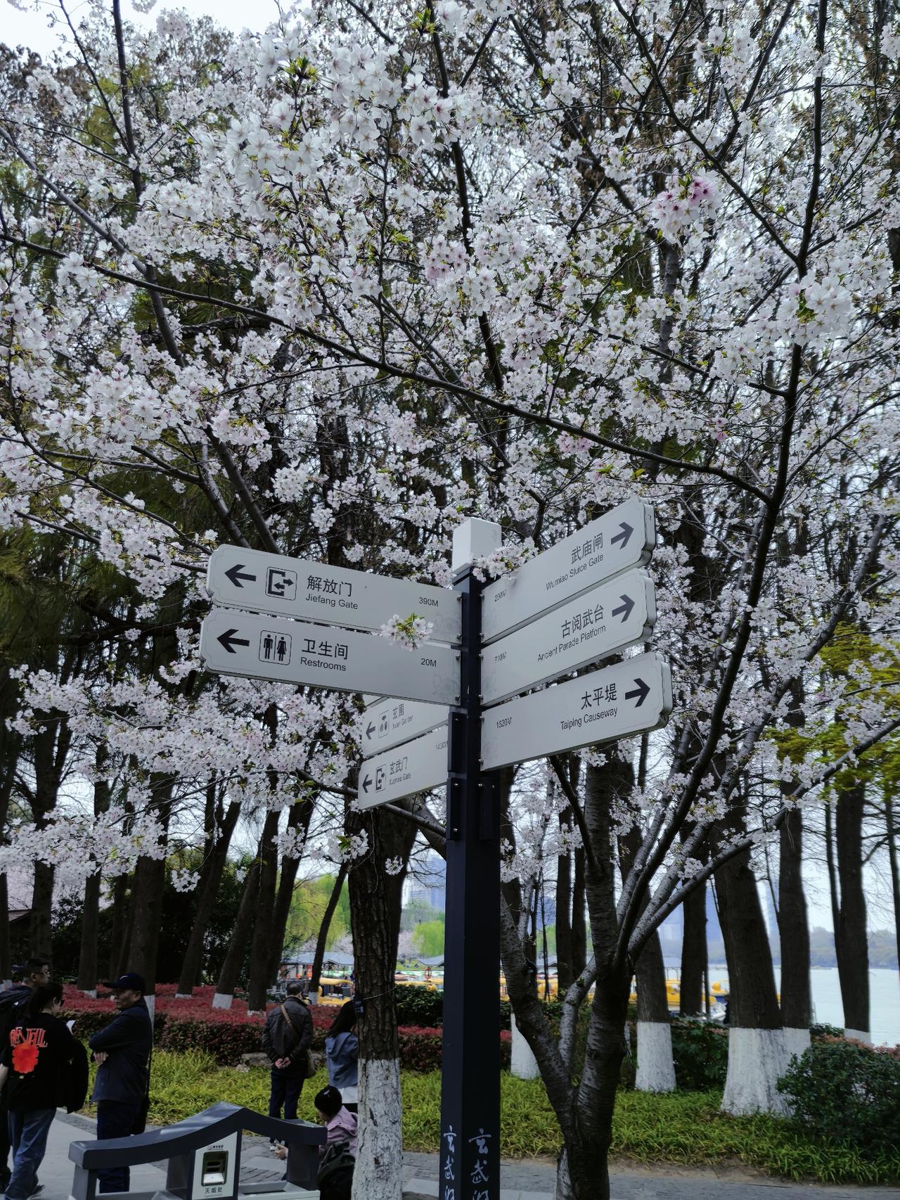 今天遇到一位高二学生的家长，因为是在网上结识的，家长不太放心。家长想来实地看看，