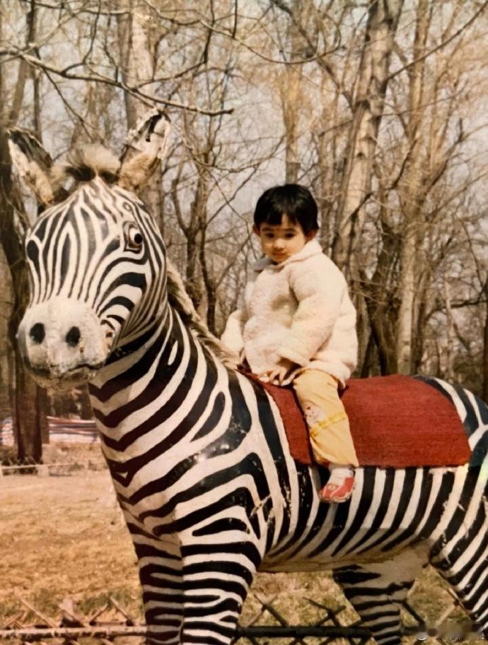 彭小苒事业升温家庭更甜🙌！连播两部剧热度一路攀升，童年高颜值全家