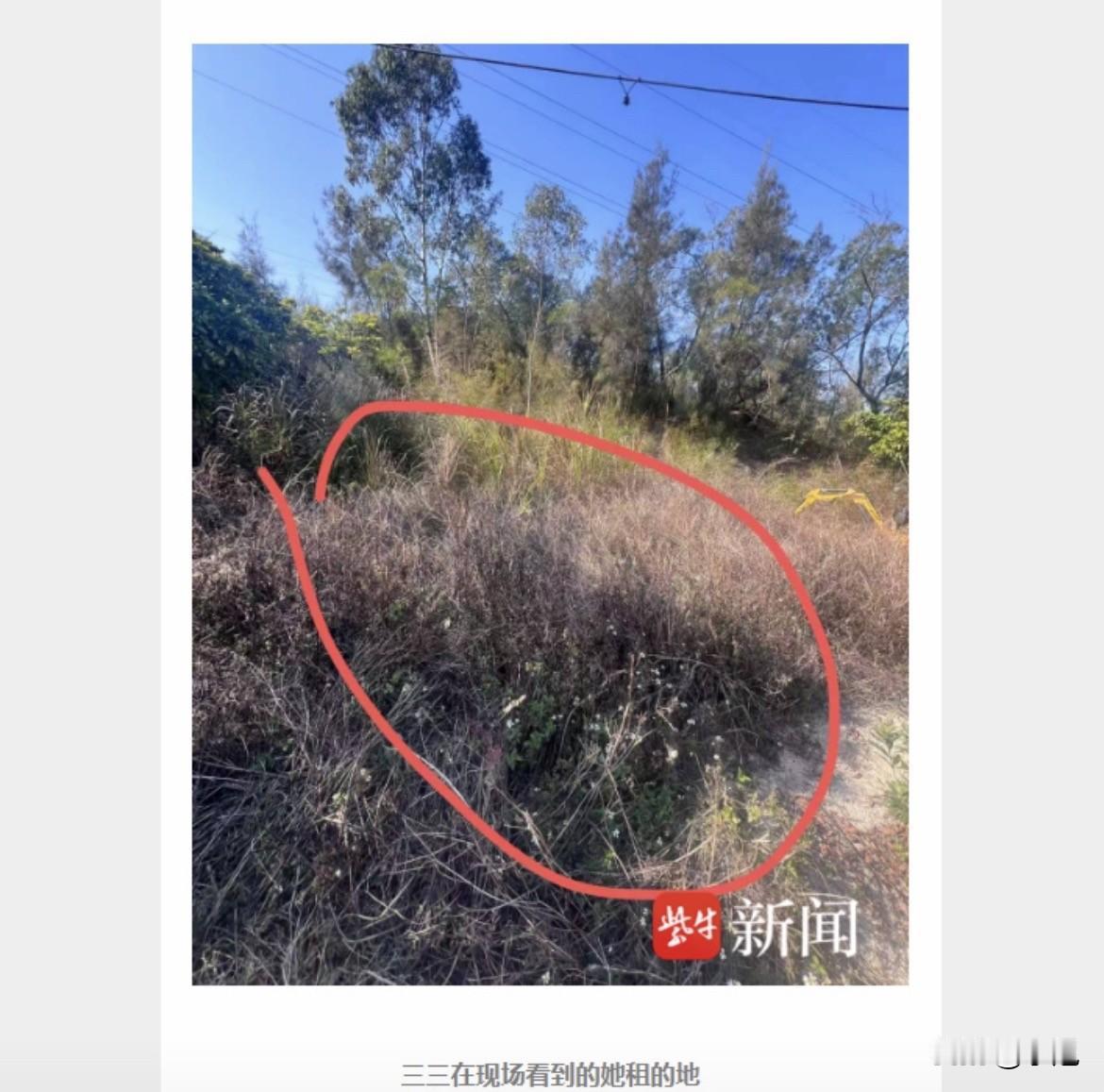 服了！厦门一年只要9块9，就能在岛内东坪山租块地，种种菜，透透气，让孩子吃上有机