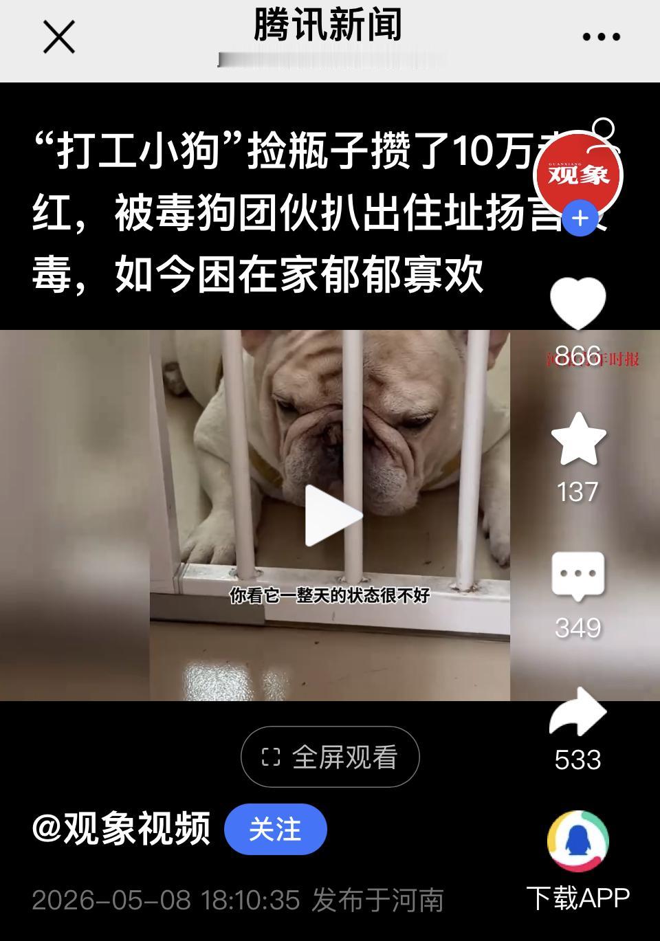 人不如狗的新闻看多的，但这个新闻不能让父母看到，不然他们就会说：“连狗都不能赚