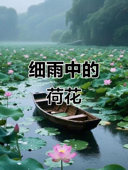 友的上联是：冬雪吻梅千枝红我对的下联：夏雨润荷一片娇