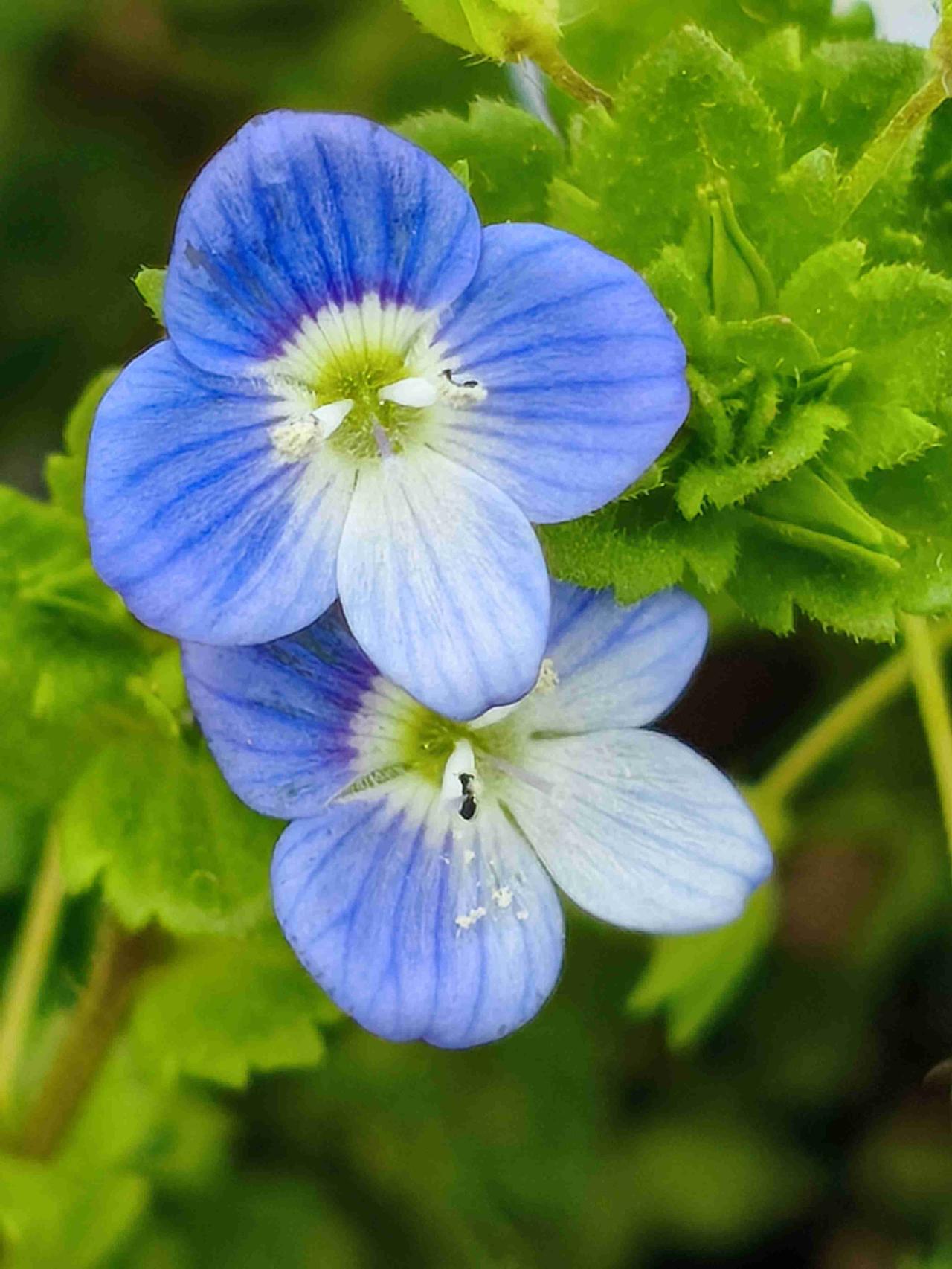 我，今年62岁，退休2年，退休后的生活，有开心快乐，也有烦恼忧愁，我想得开，一切