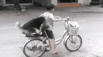 被这一人一狗治愈了！童年最好的玩伴大概就是这样吧！小男孩骑