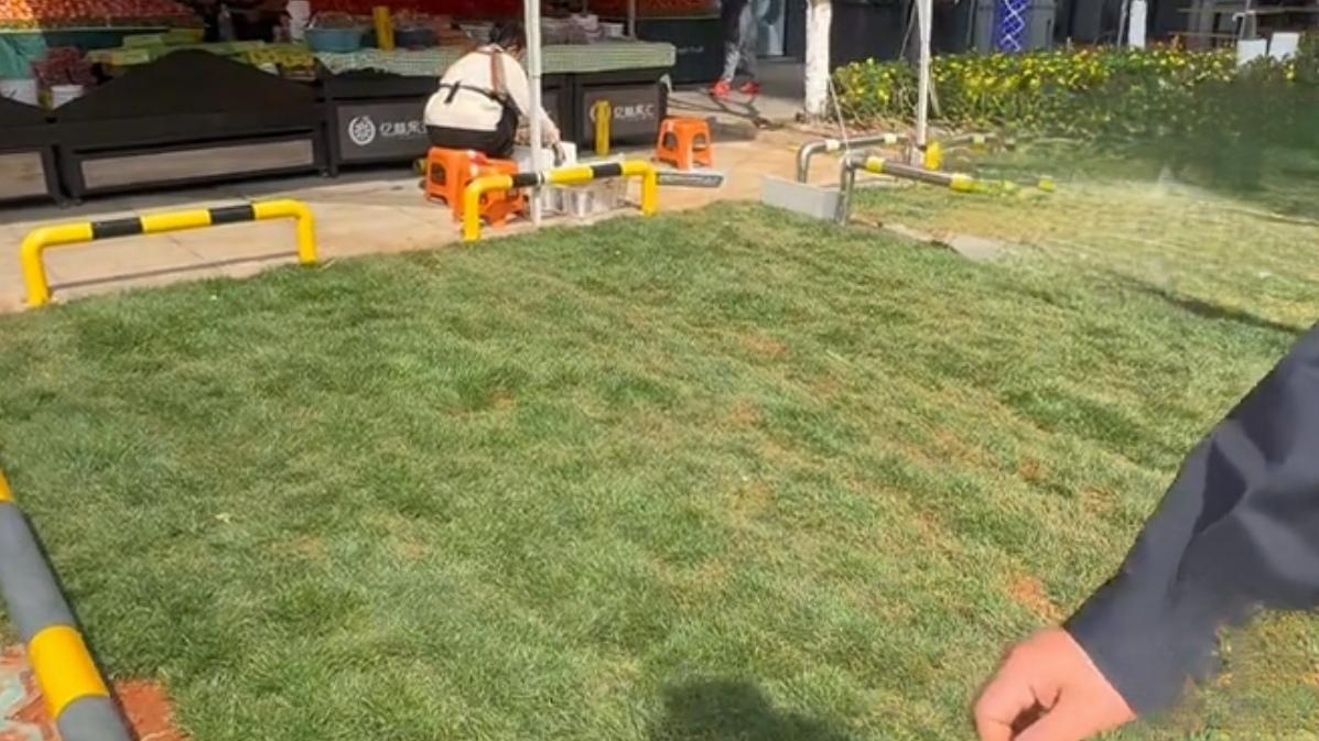 🔥当场翻车！昆明一水果店虚假整改被抓现行。昆明一商铺破坏公共绿地被要求整改，竟