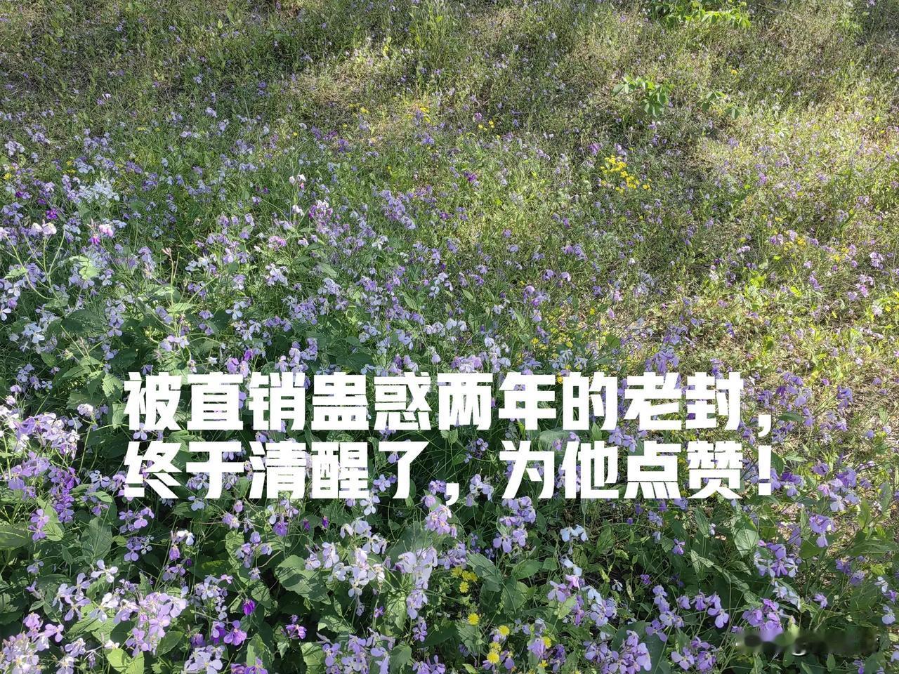 昨天，朋友老封来我办公室喝茶，谈及他之前津津乐道的“事业”，老封叹了口气，不干了