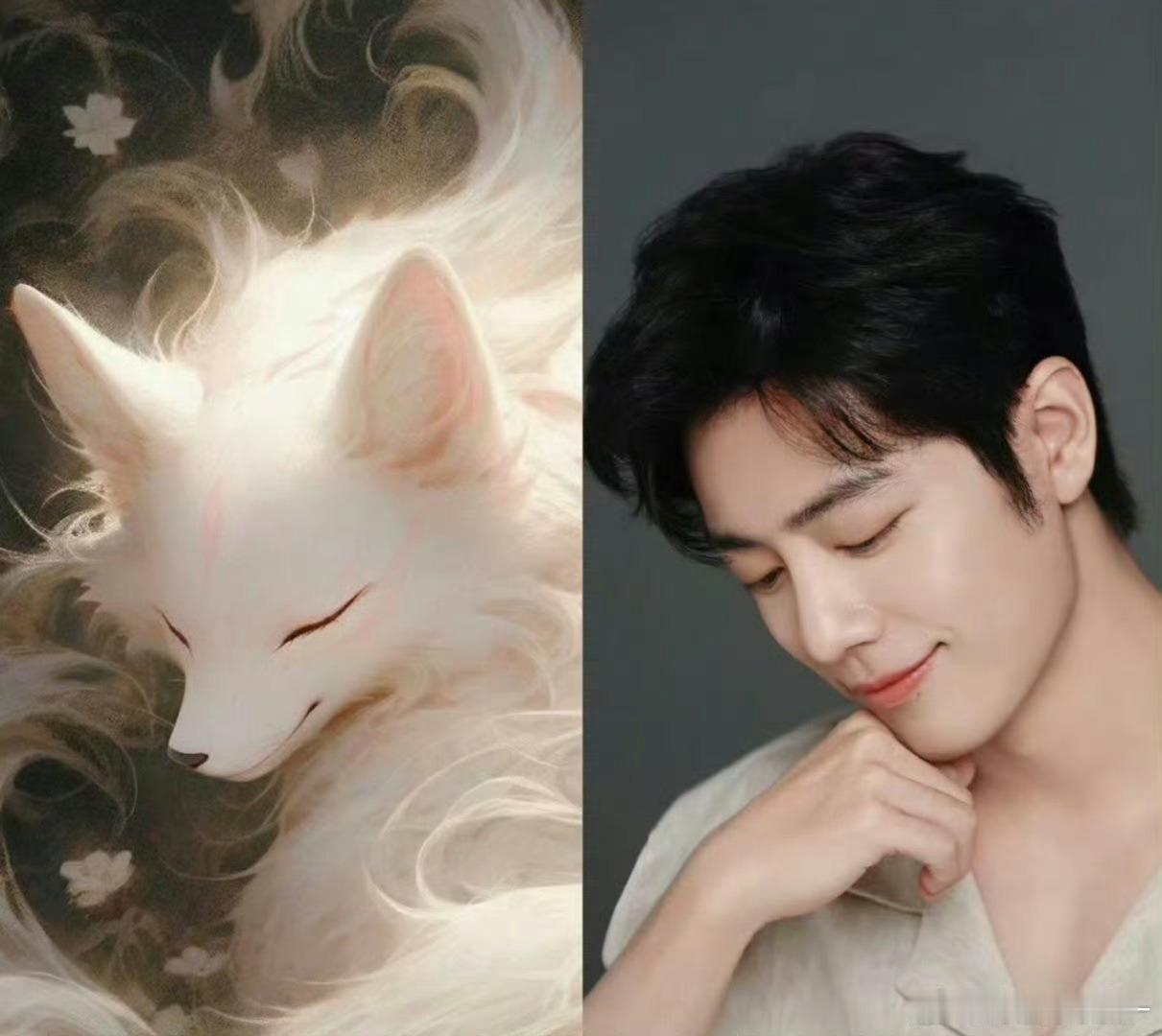 肖战和狐狸精的区别在哪🤤🤲🏻