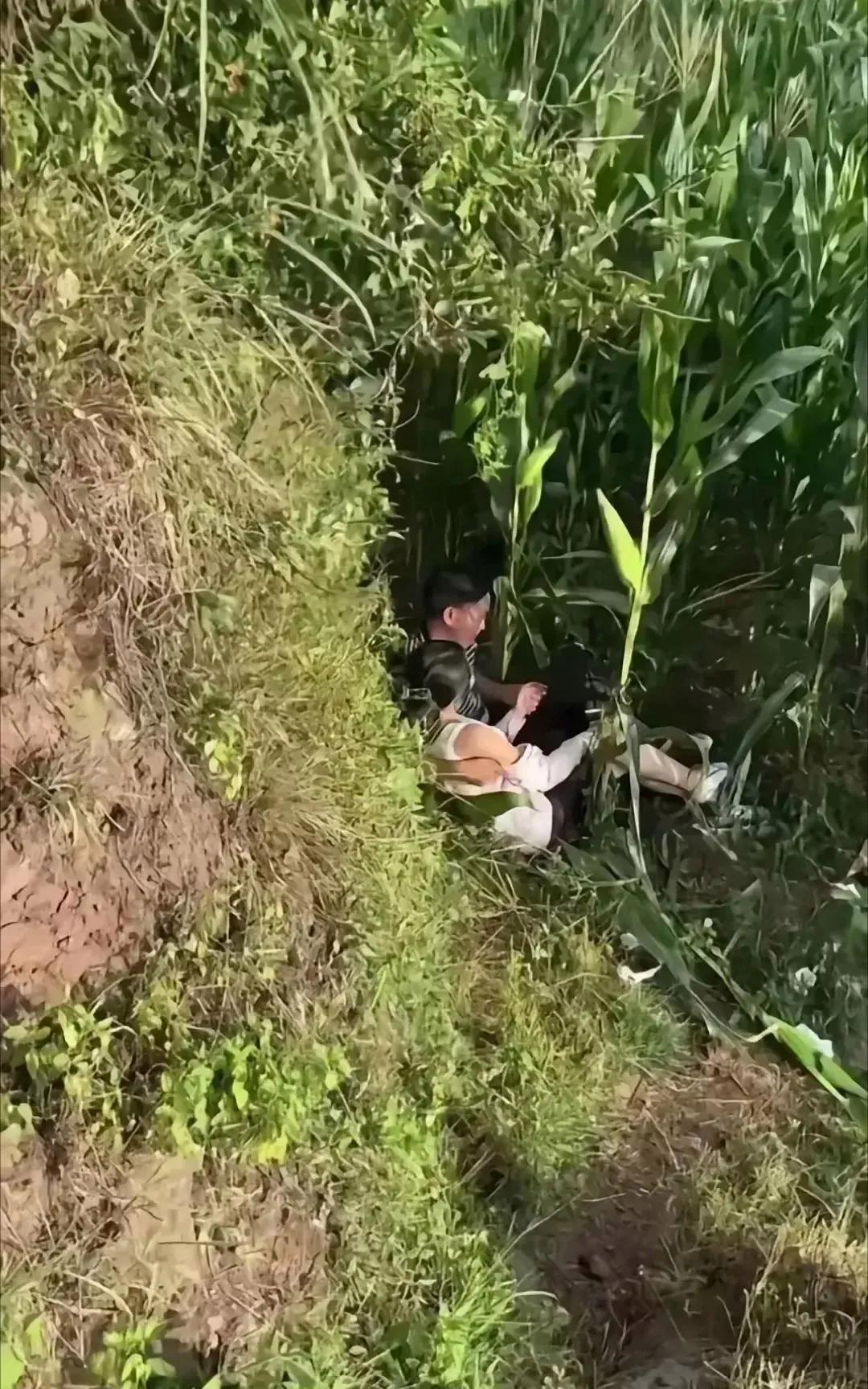 这样的爱情，已经不多了！