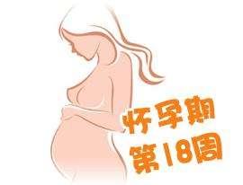 孕18周胎宝宝的变化和孕妈的注意事项!