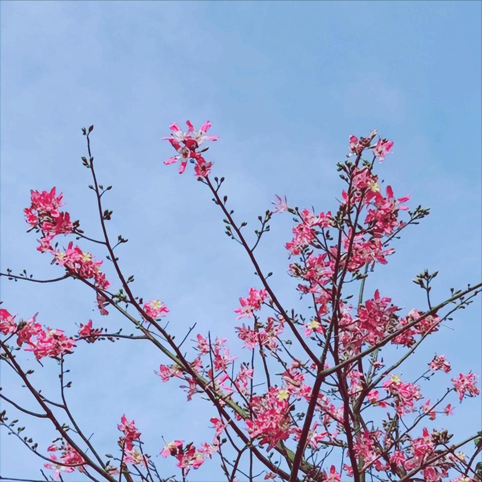 11月28日  中央政治局第二十三次集体学习传递出4个重要信号 一是要持续