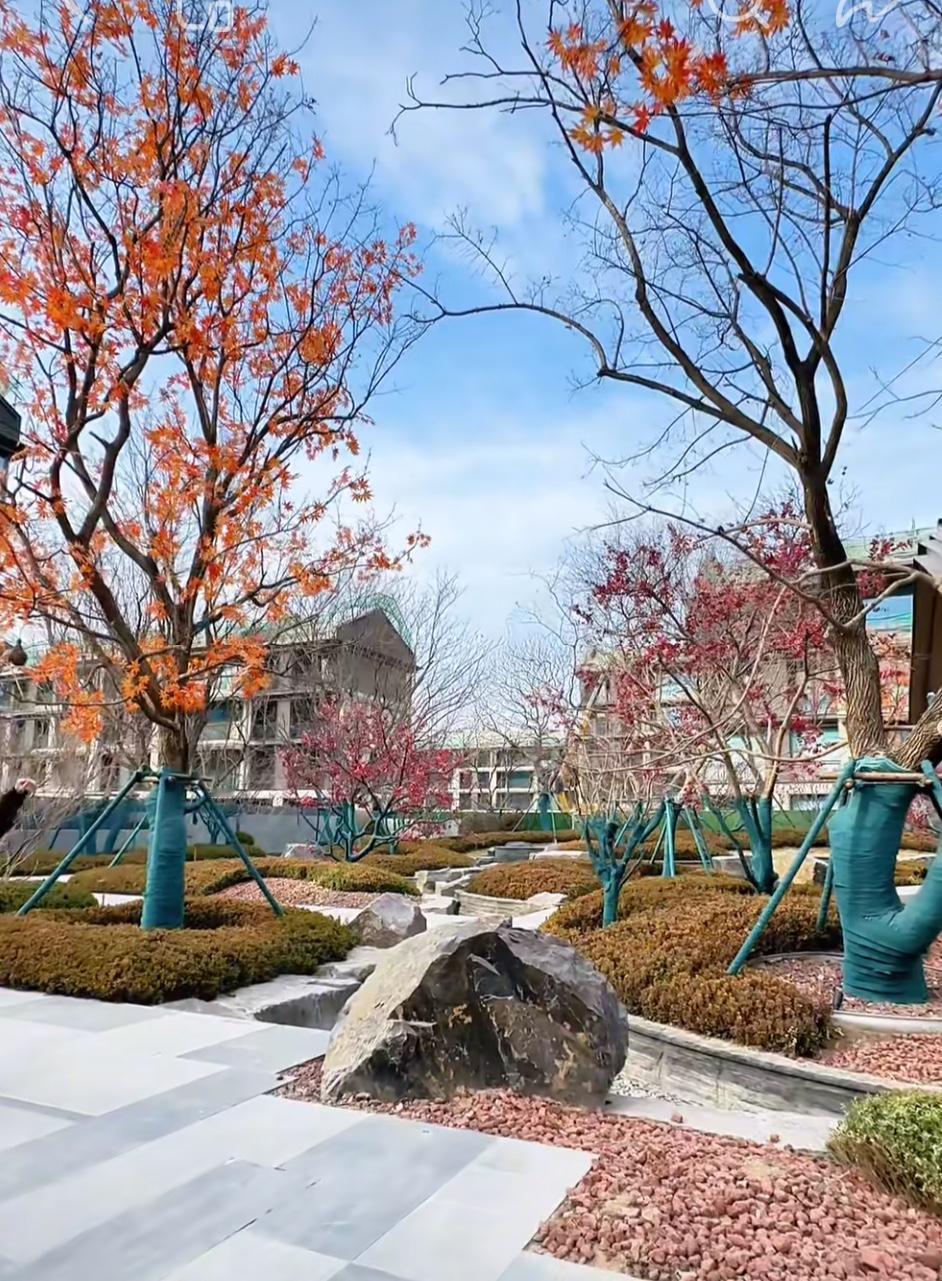 茶余饭后：看“北哥”的视频，可以治愈三类人的购房焦虑？“北哥”何时能摔杯为号？