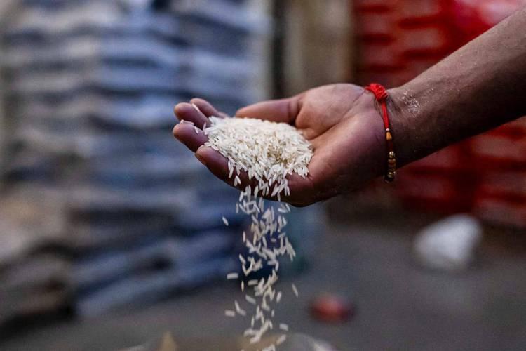 中国饭碗稳不稳？印度大米减产1000万吨，多国接连收紧粮食出口！9月17日，