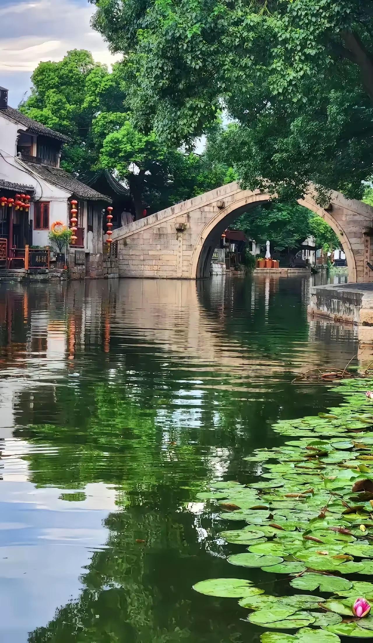 双鱼座12月15日至12月21日运势本周如同过山车般起伏，障碍可能骤现又消