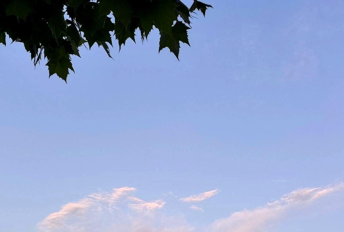 今天是高考的第2天，在以前把这种人才的选拔考试叫科举，从本质上而言，其实都是一样