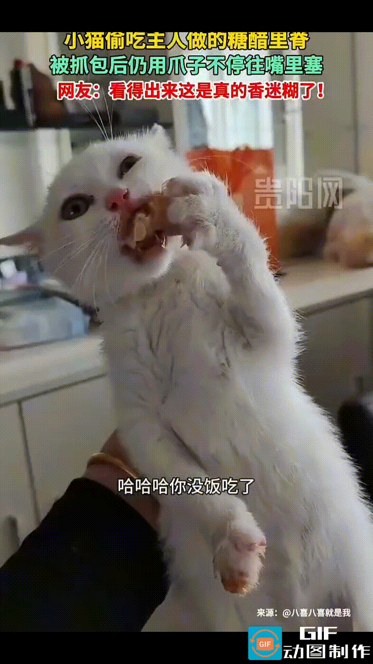 主人精心做了一份糖醋里脊，放到桌上，转身去拿筷子。刚一转身天就塌了，早就躲在一
