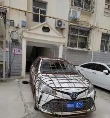 都告诉你们了，别扔鸡蛋