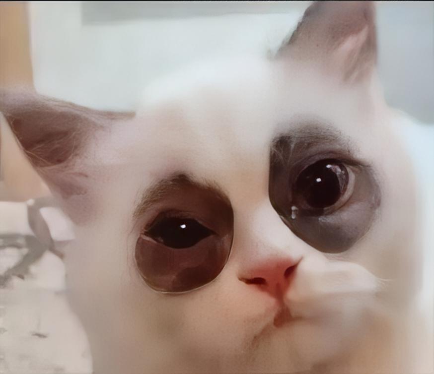 女同事心情不好，随手把微信名改成：小老婆。第二天上班：2人请假3个人