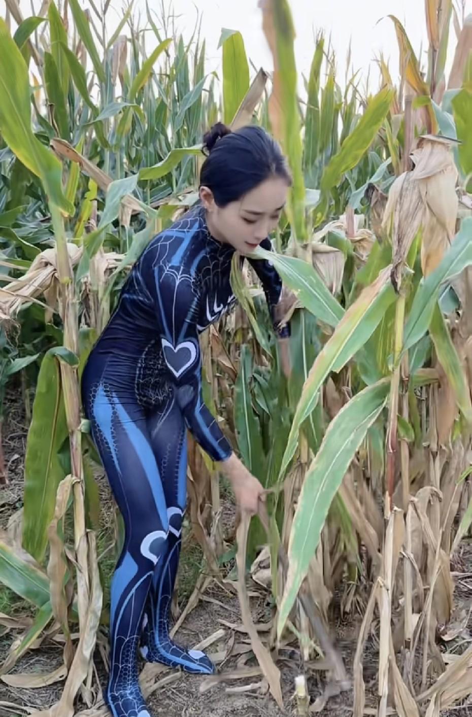 金秋十月，正值北方秋收的季节，玉米开始成熟回收。这样的情况也被某个女网红看到了
