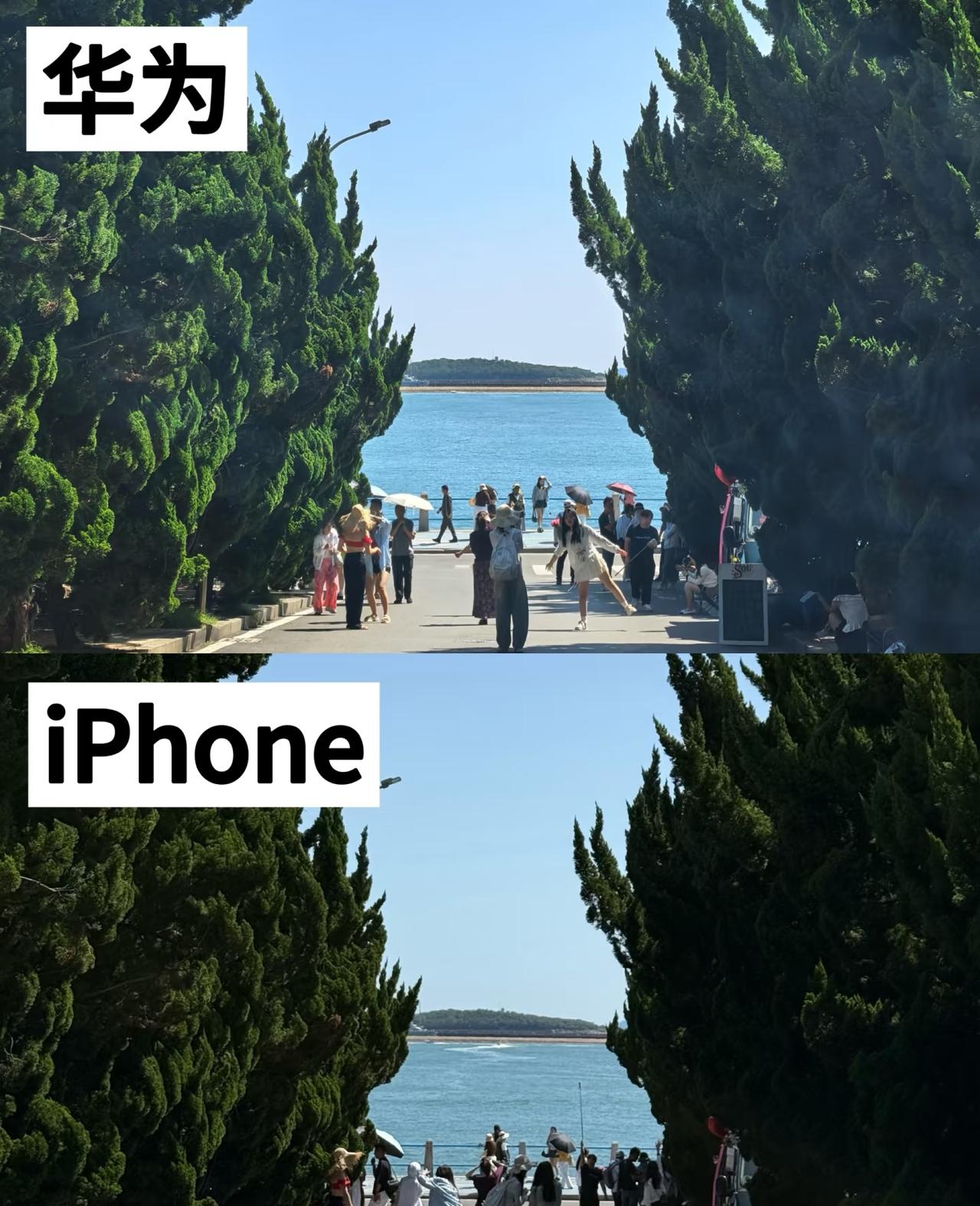 iPhone真实是真的，不好看也是真的[捂脸哭]📱iPhone16ProM