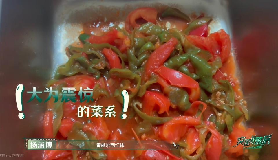 四代突围食堂青椒炒西红柿食堂阿姨是认真的吗？青椒炒番茄这搭配，孩子们吃完都沉